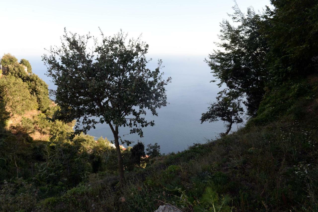 A Due Passi Dalla Costiera Agerola Εξωτερικό φωτογραφία